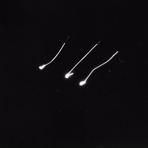 <body>
<p>This work proposes a vocabulary of single gestures traced in darkness with a handheld laser — each drawn in a single, uncorrectable movement. The line records the instant of approach, hesitation, or acknowledgment: fleeting encounters that shape our coexistence with others. These gestures parallel those unspoken exchanges that pass between strangers—allowing eye contact, offering a brief smile, a nod of recognition before the flow of daily life resumes.</p>
<p>In darkness, each gesture becomes both declaration and question. Without sight of its beginning or end, I must act in trust, as in any encounter with the unknown. The drawn light is an attempt to reach toward another, to speak without words, to register an instant of openness. The resulting traces form a fragile lexicon of recognition: arcs of invitation, lines of withdrawal, brief crossings that never fuse.</p>
<p>Philosophically, the project draws on Levinas’s insistence that ethics begins in the face-to-face meeting, before speech or comprehension, and on Han Byung-Chul’s reflections on the erosion of genuine contact in digital culture. These drawings seek to restore that lost friction — to offer illumination not as mastery, but as empathy, each gesture a visible echo of the courage to meet another in passing.
</p>
</body>
 Images Copyright Aldobranti® ©2008-'2025. All rights reserved.